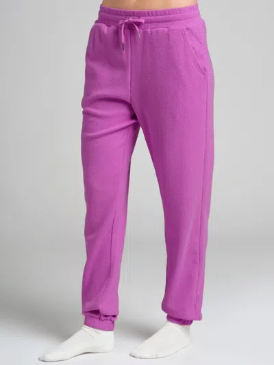 Comfrt Vip Exclusive Waffle Lounge Jogger In Purple
