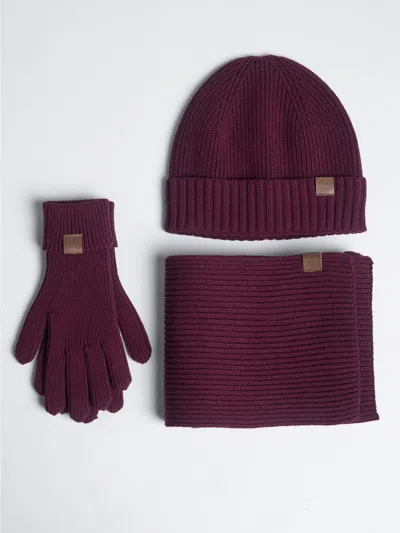 Comfrt Winter Accessories Set In Burgundy