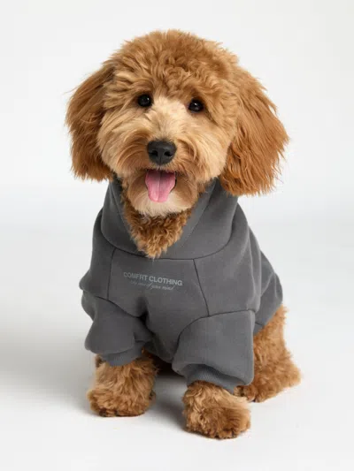 Comfrt You Matter Paw Hoodie In Gray