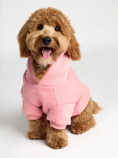 Comfrt You Matter Paw Hoodie In Multi