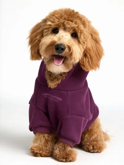 Comfrt You Matter Paw Hoodie In Purple