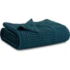 Comfy Cubs Baby Waffle Blankets In Neptune