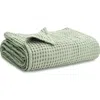Comfy Cubs Baby Waffle Blankets In Sage