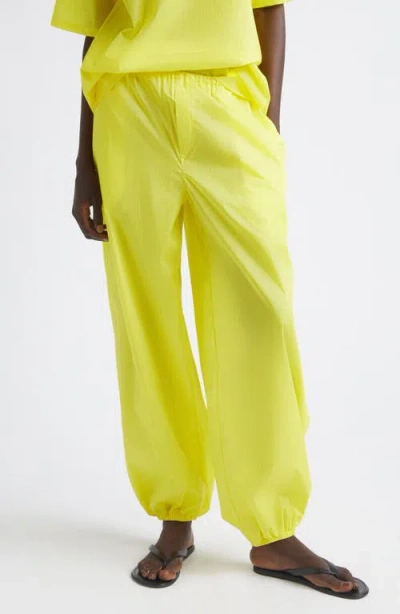Coming Of Age Cozy Cotton Joggers In Green