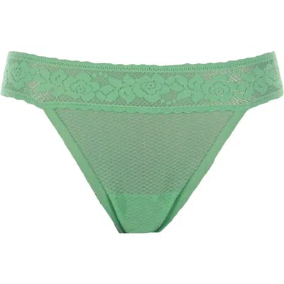 Commando Kitty Soft Womens Lace Trim Sexy Thong Panty In Green