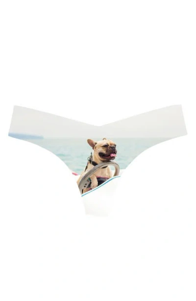 Commando Print Thong In Photo Op Frenchie