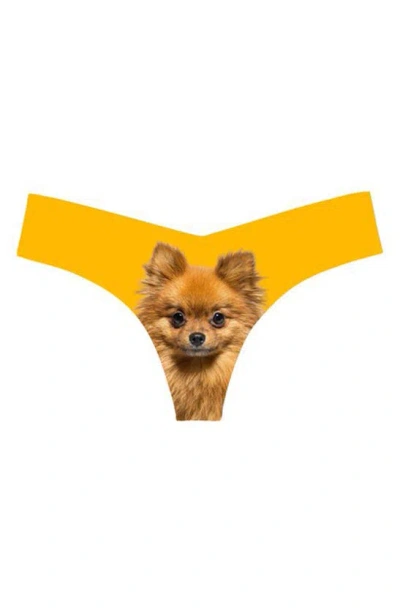 Commando Print Thong In Photo-op Pomeranian