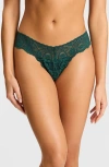 Commando 'tulip' Lace Thong In Green