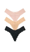 Commando Tulip Tanga 3 Pack In Multi