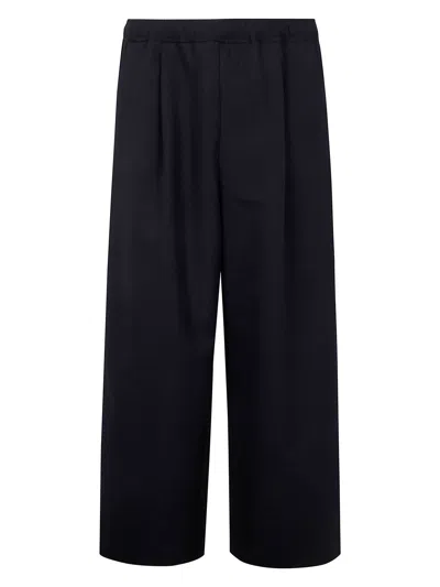 Comme Des Garã§ons Homme Plus Men's Men Trousers In Blue