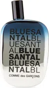 Comme Des Garçons Blue Santal Eau De Parfum, 100 ml In -