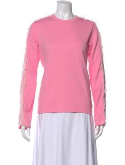 Pre-owned Comme Des Garçons Crew Neck Long Sleeve Top In Pink