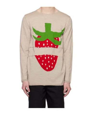 Comme Des Garçons Shirt X Brett Westfall Long-sleeved Sweater In Brown
