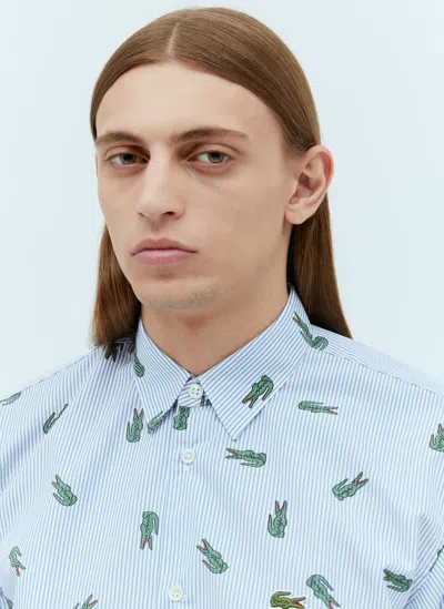 Comme Des Garçons Shirt X Lacoste Striped Cotton-poplin Shirt In White,light Blue