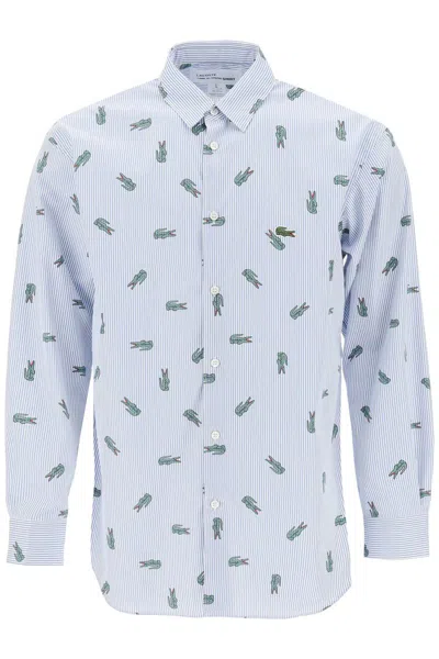 Comme Des Garçons X Lacoste Oxford Shirt With Crocodile Motif In Bianco