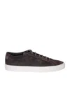 COMMON PROJECTS COMMON PROJECTS ACHILLE LOW SNEAKERS IN GREY
