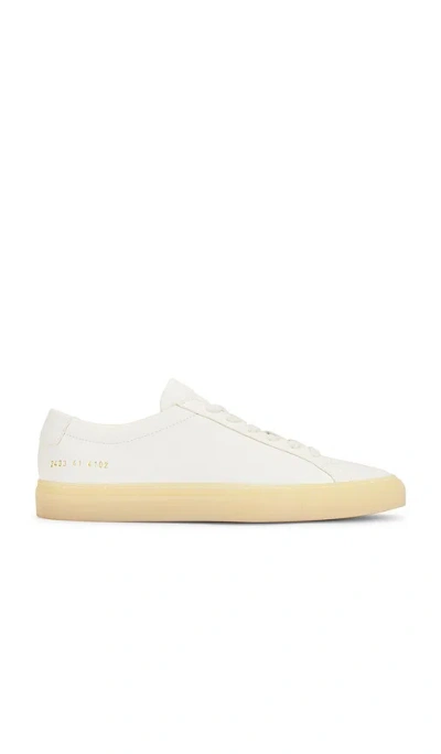 Common Projects Achilles Fw24 In Gray