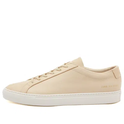 Common Projects Achilles Low 'off White'