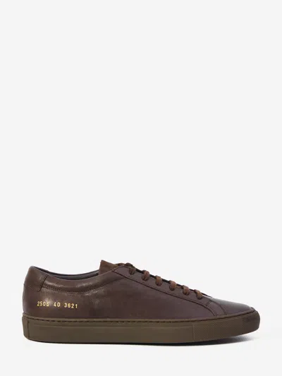 Common Projects Premium Low-top Sneakers Rounded Toe Design In Brown