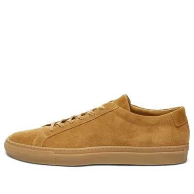 Common Projects Achilles Suede Low 'tan'