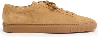 Common Projects Achilles Tonal Suede Sneakers In Brown