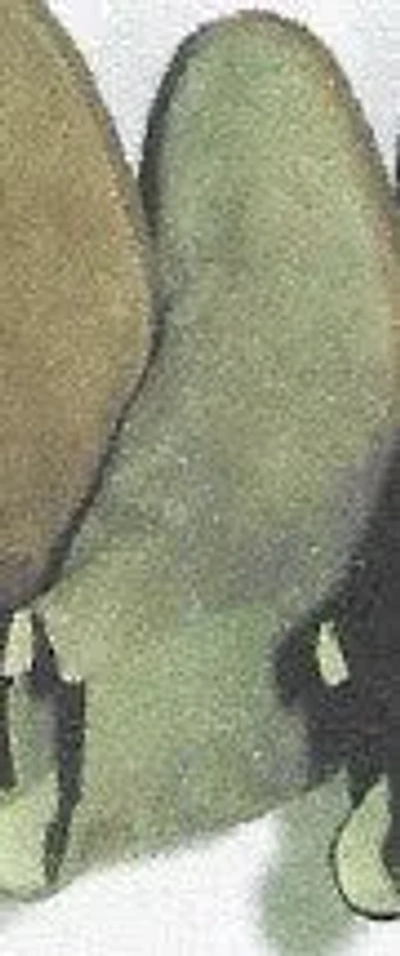 Common Projects Men Chelsea Boot Suede In Green