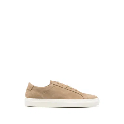 Common Projects Nubuck-leather Sneakers In Brown