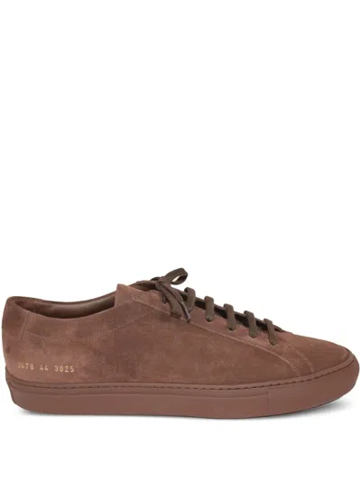 Common Projects Suede Sneakers In Brown