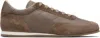 Common Projects Taupe Minimal Runner Sneakers In Brown