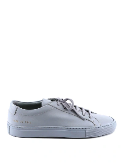 Common Projects Leather Sneakers In Grey