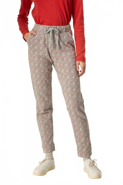 Compañía Fantástica Cotton Terry Joggers In Tiger Print In Brown