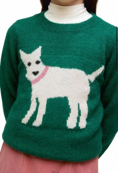 Compañía Fantástica Dog Sweater In Green
