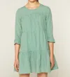 Compañía Fantástica Gingham Mini A Line Dress In Green In Green
