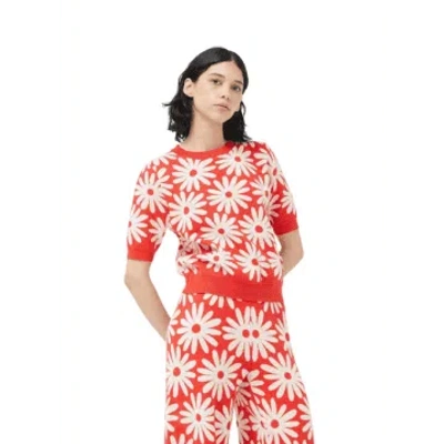 Compañía Fantástica Knitted Top In Red Daisy Print