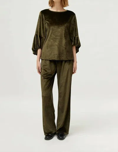 Compañía Fantástica Puff Sleeve Velvet Top In Green