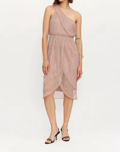 Compañía Fantástica Shimmer Dress In Pink
