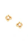 COMPLETEDWORKS 18K GOLD PLATED & FRESHWATER PEARL EARRING