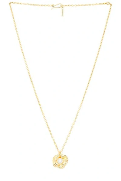 Completedworks 18k Gold Plated & Freshwater Pearl Necklace