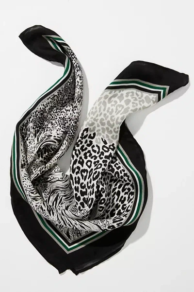 Conditions Apply Mixed Animal Print Scarf In Black