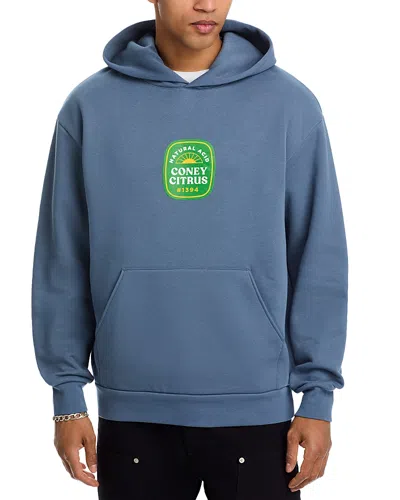 Coney Island Picnic Citrus Graphic Pullover Hoodie In Dusty Blue