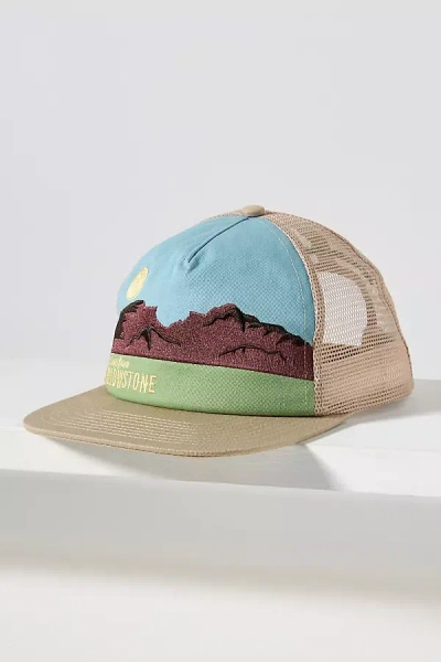 Coney Island Picnic Trucker Hat In Multi
