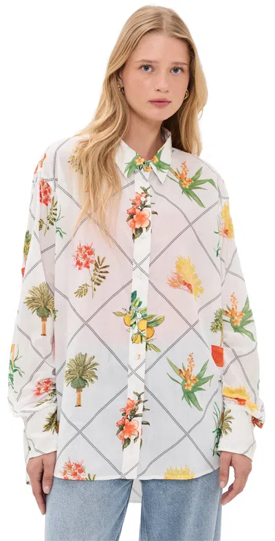 Coniglio Palm Beach Classic Button Down Shirt Florida Frame Cracked Coconut In White