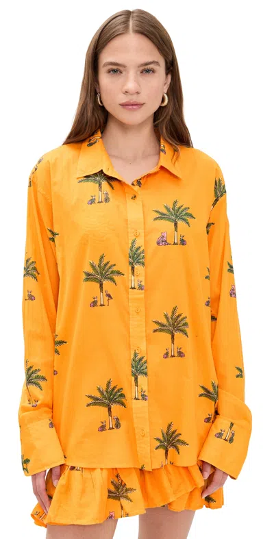 Coniglio Palm Beach Classic Button Down Shirt Petit Palm Orange