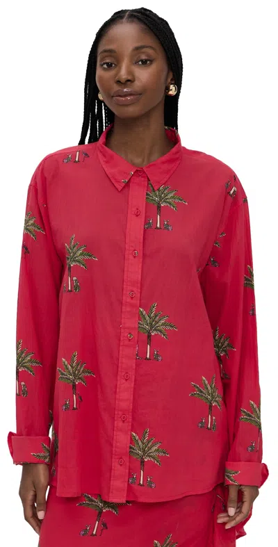 Coniglio Palm Beach Classic Button Down Shirt Petit Palm Red