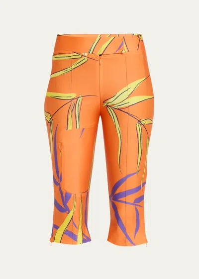 Conner Ives Printed Spandex Capri Trousers In Orange Bamboo