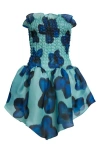 Conner Ives Shirred Silk Organza Drop Waist Minidress