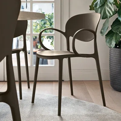 Connubia Abby Chairs In Matte Soil Brown