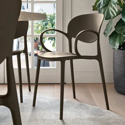 Connubia Abby Chairs In Matte Soil Brown
