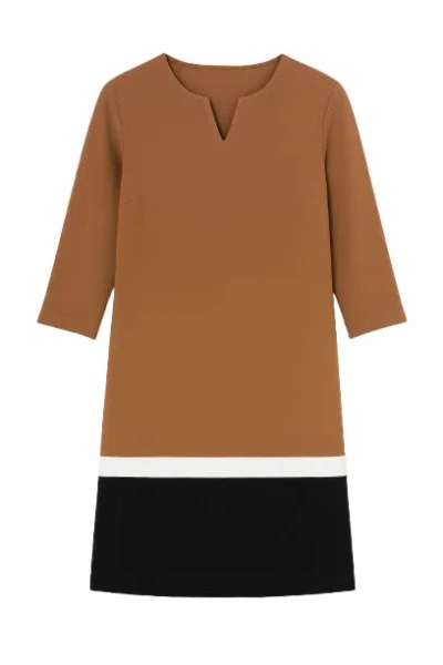 Conquista Women's Brown Colour Block Dress