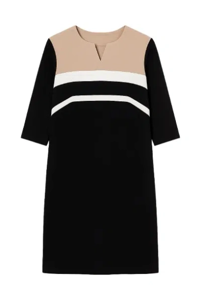 Conquista Women's Brown Straight Panel Detail Dress